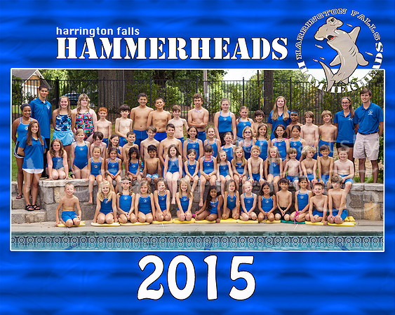 team2015
