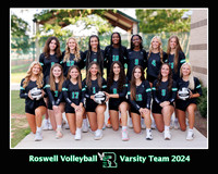 Roswell Volleyball